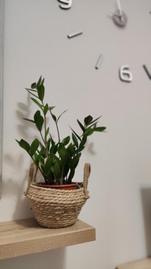 Rock & Roll 2 - Modern Apartment In Trikala 외부 사진